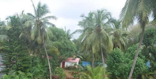 Gabriel Guest House Calangute Exteriör bild